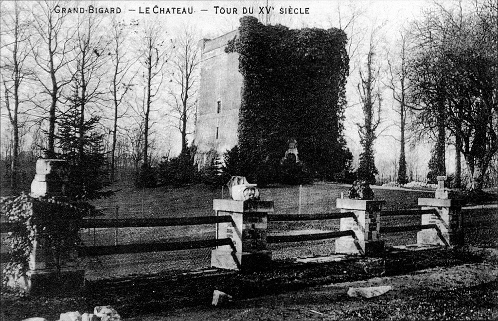 Kasteel_Toren Prentbriefkaart met een zicht op de donjon zoals hij er in 1901 uitzag.